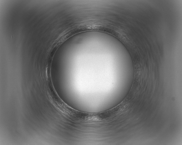 X0000056020262200508190928