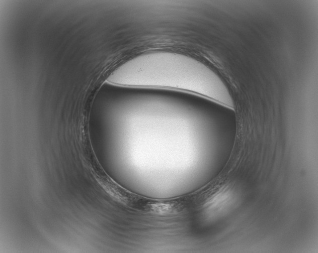 X0000056020265200508190928