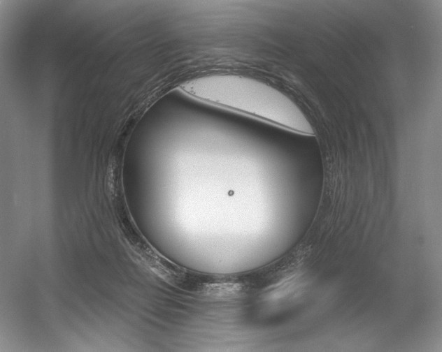 X0000056020266200508190928