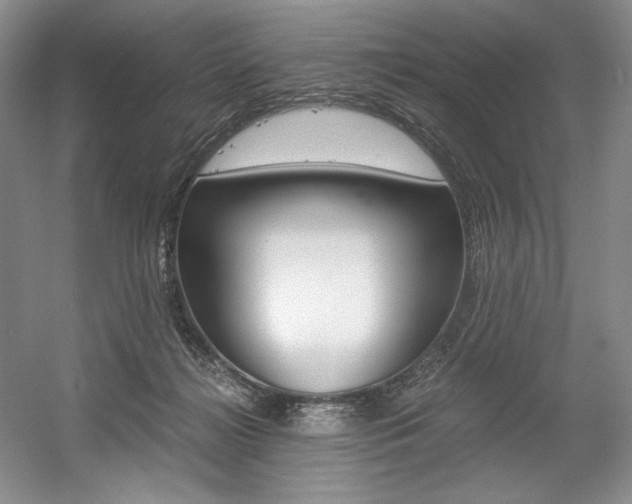 X0000056020268200508190928