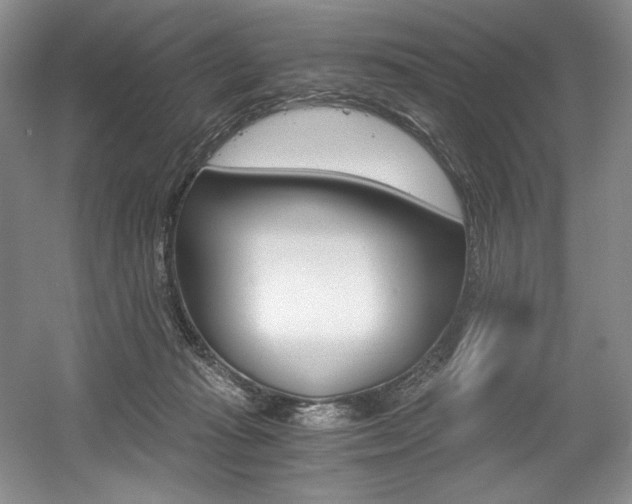 X0000056020269200508190928