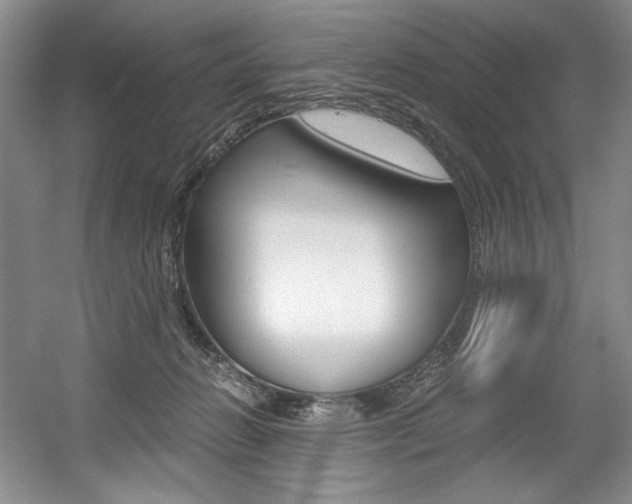 X0000056020270200508190928