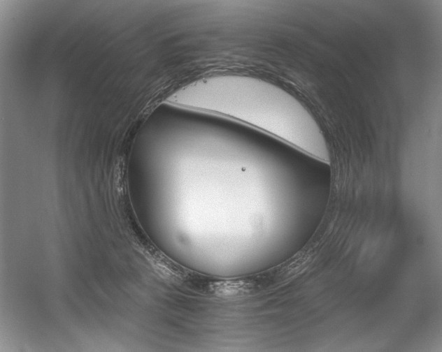 X0000056020273200508190928
