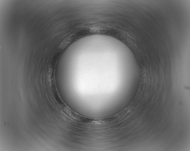 X0000056020275200508190928