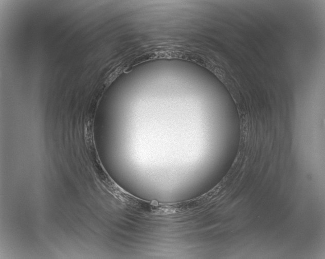 X0000056020276200508190928
