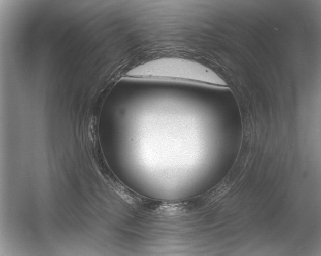 X0000056020280200508190928