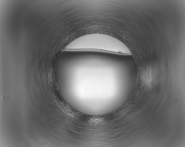 X0000056020283200508190928
