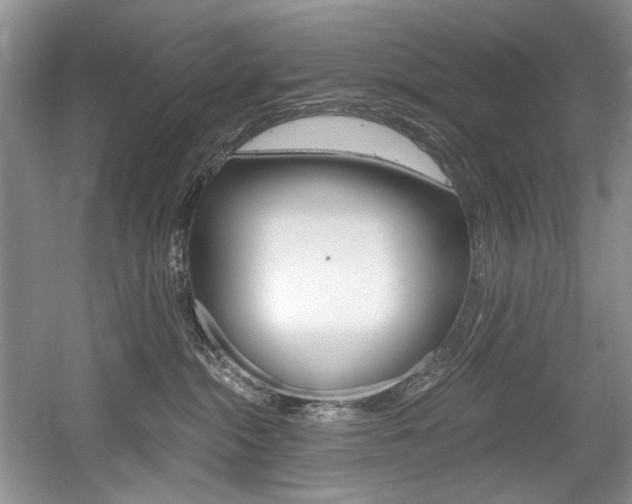 X0000056020284200508190928