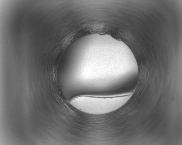 X0000056020287200508190928