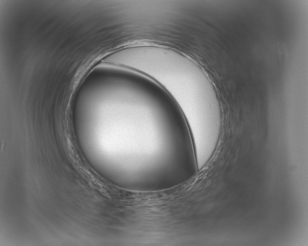 X0000056020289200508190927