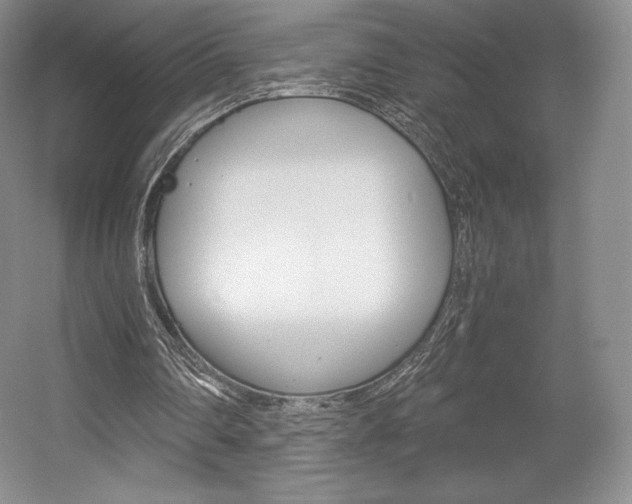 X0000056020290200508190927