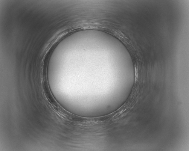 X0000056020291200508190927