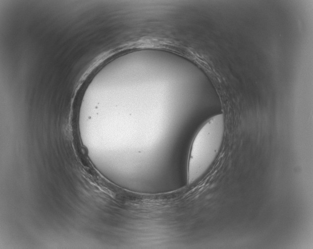 X0000056020292200508190927