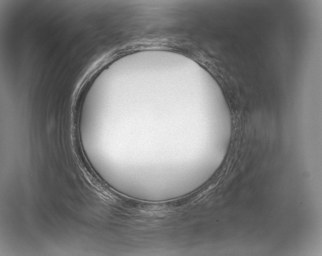X0000056020293200508190927