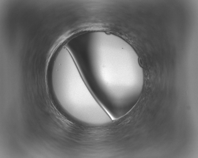 X0000056020296200508190927