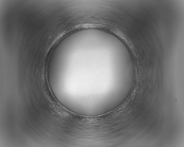 X0000056020297200508190927