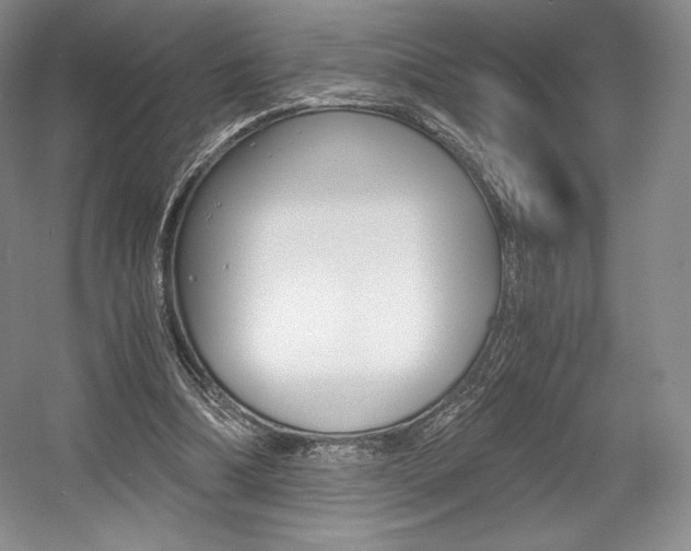 X0000056020298200508190927