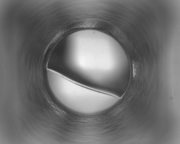 X0000056020300200508190927