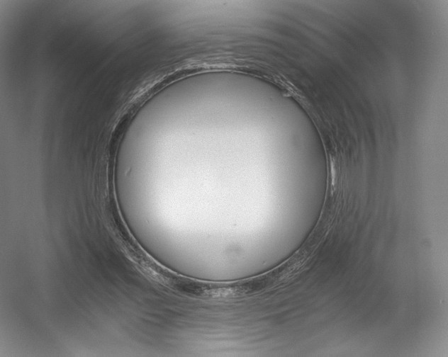 X0000056020301200508190927