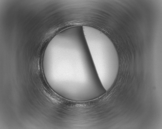X0000056020302200508190927