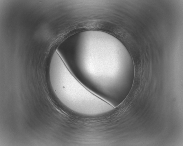 X0000056020303200508190927