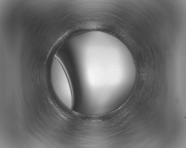 X0000056020304200508190927