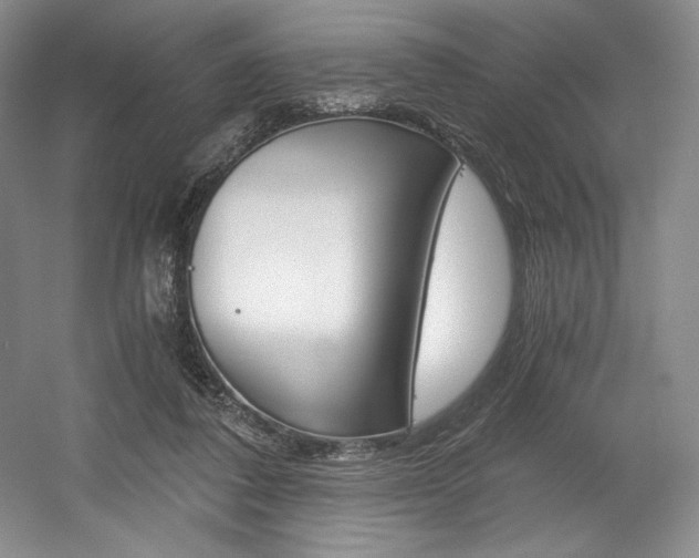 X0000056020308200508190927