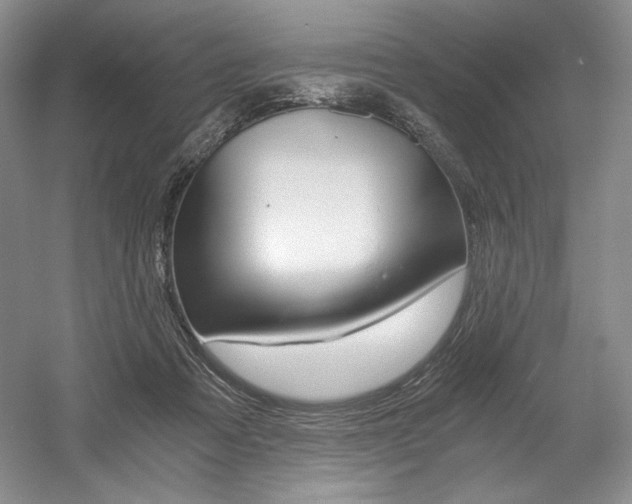 X0000056020313200508190927