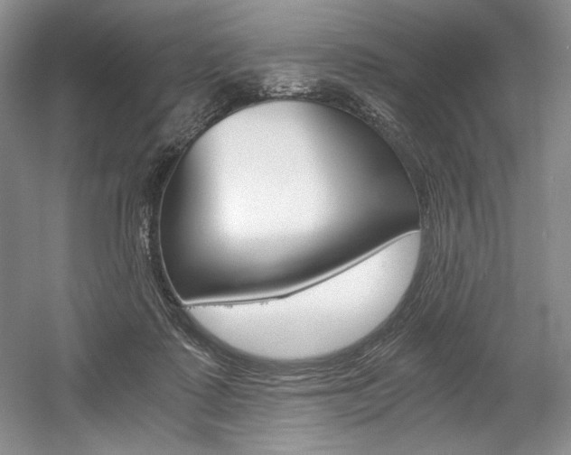X0000056020315200508190927