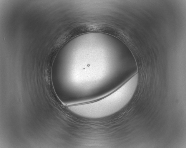 X0000056020317200508190927