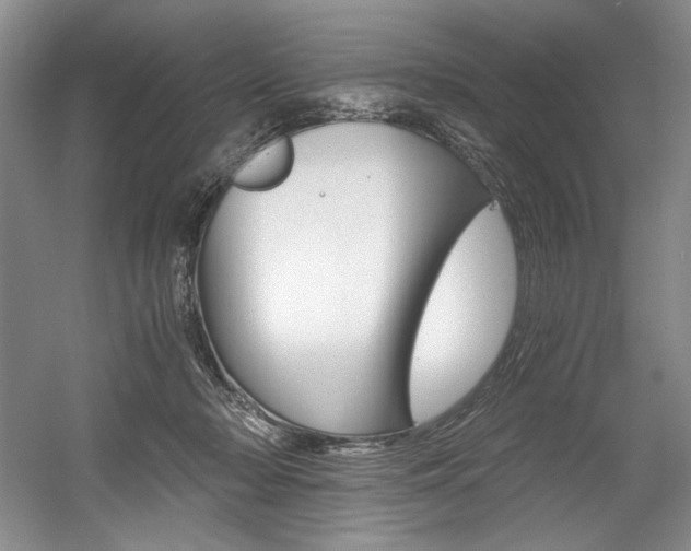 X0000056020318200508190927