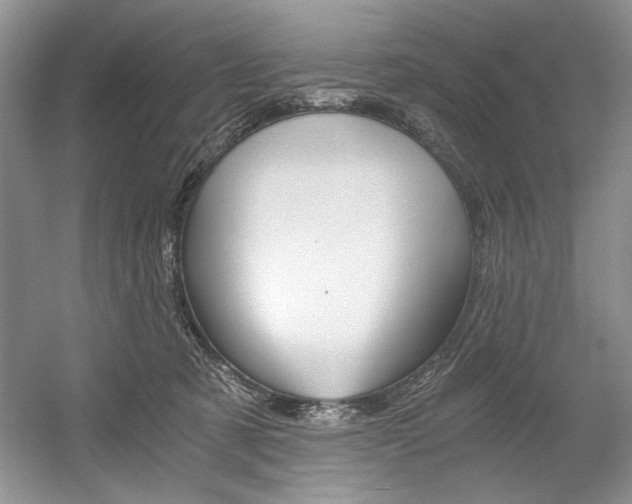 X0000056020321200508190927