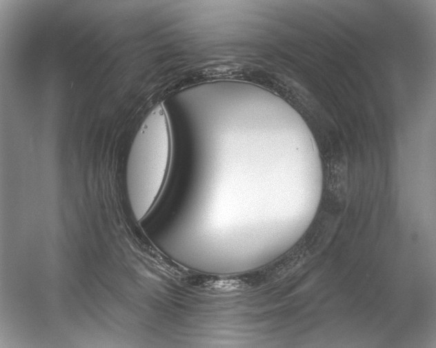 X0000056020324200508190927