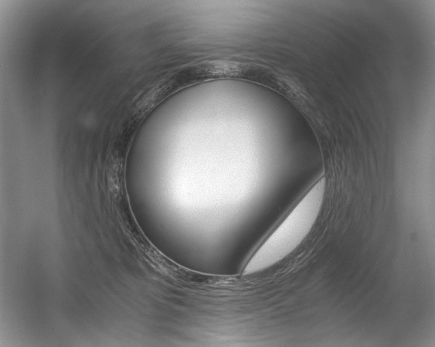 X0000056020325200508190927