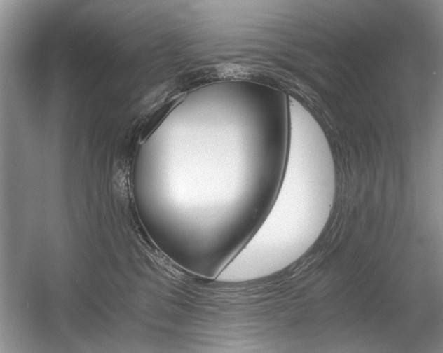 X0000056020329200508190927