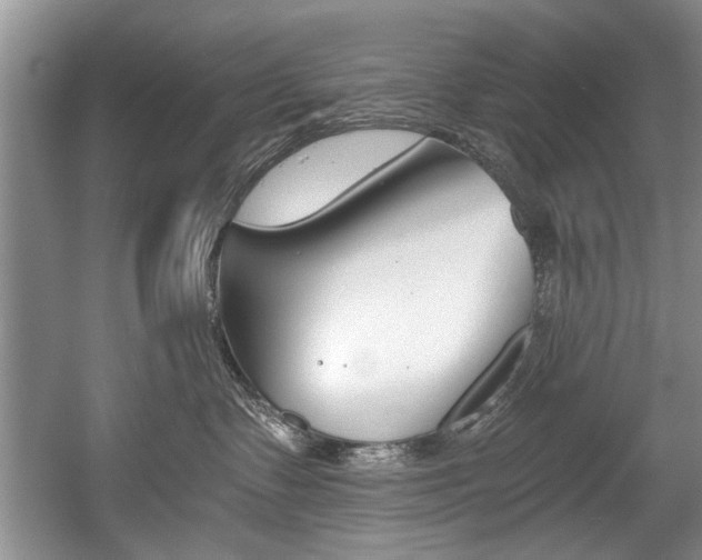 X0000056020335200508190927
