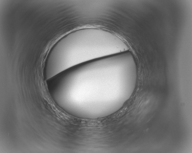 X0000056020337200508190926