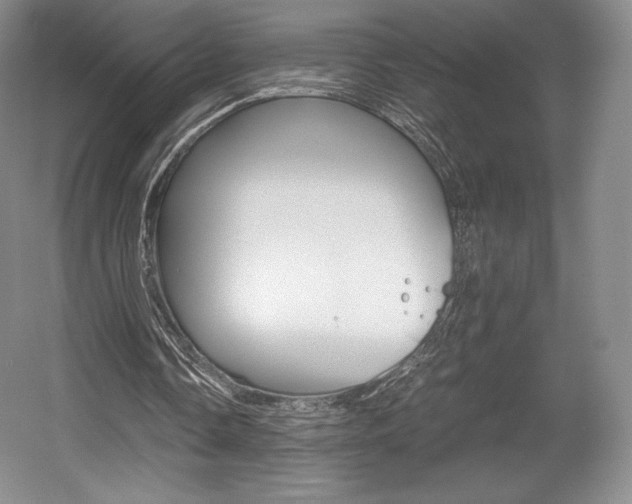 X0000056020338200508190926