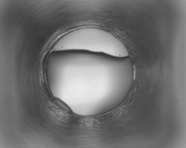 X0000056020339200508190926