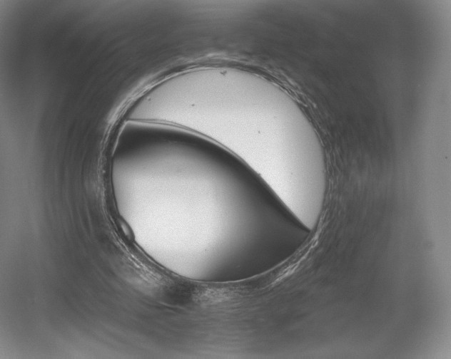 X0000056020341200508190926