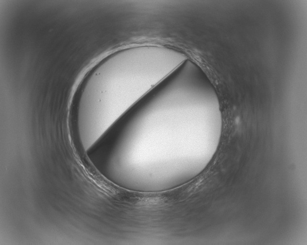 X0000056020342200508190926
