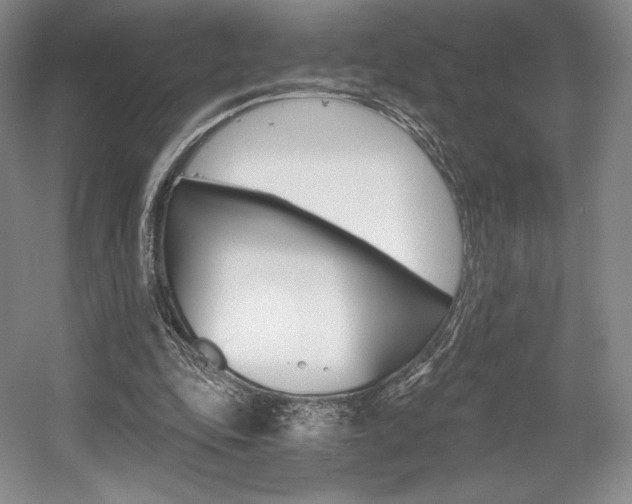 X0000056020343200508190926