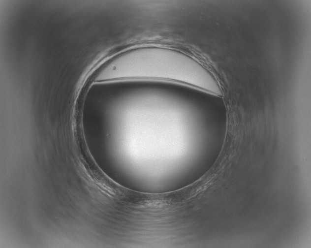 X0000056020344200508190926