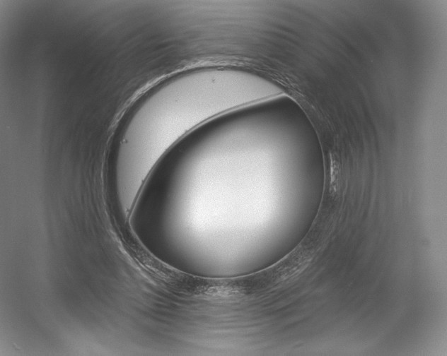 X0000056020348200508190926