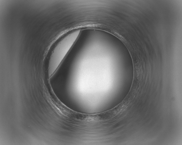 X0000056020350200508190926