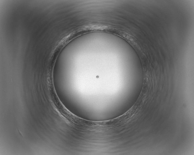 X0000056020352200508190926