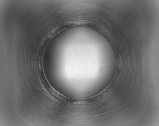 X0000056020356200508190926