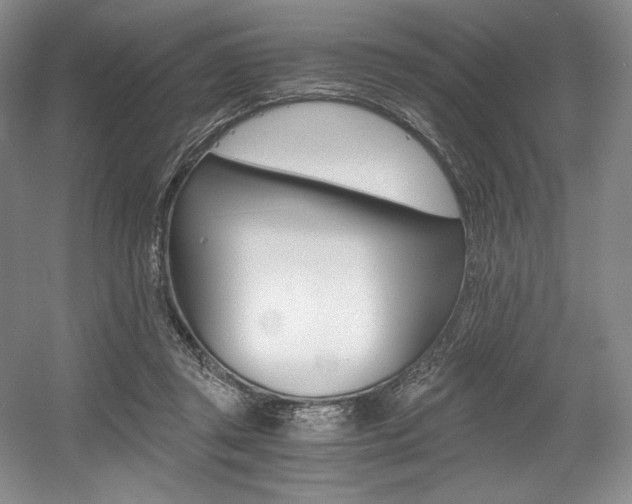 X0000056020357200508190926