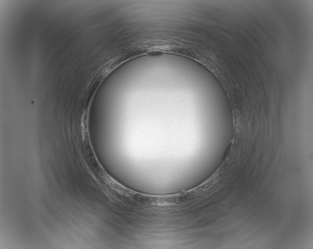X0000056020360200508190926