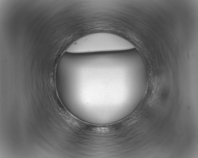X0000056020361200508190926